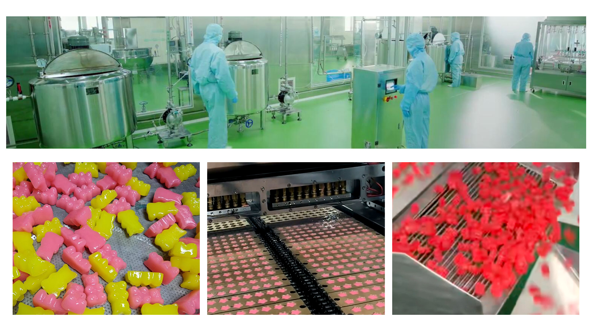 OEM Nutritional Gummies.jpg