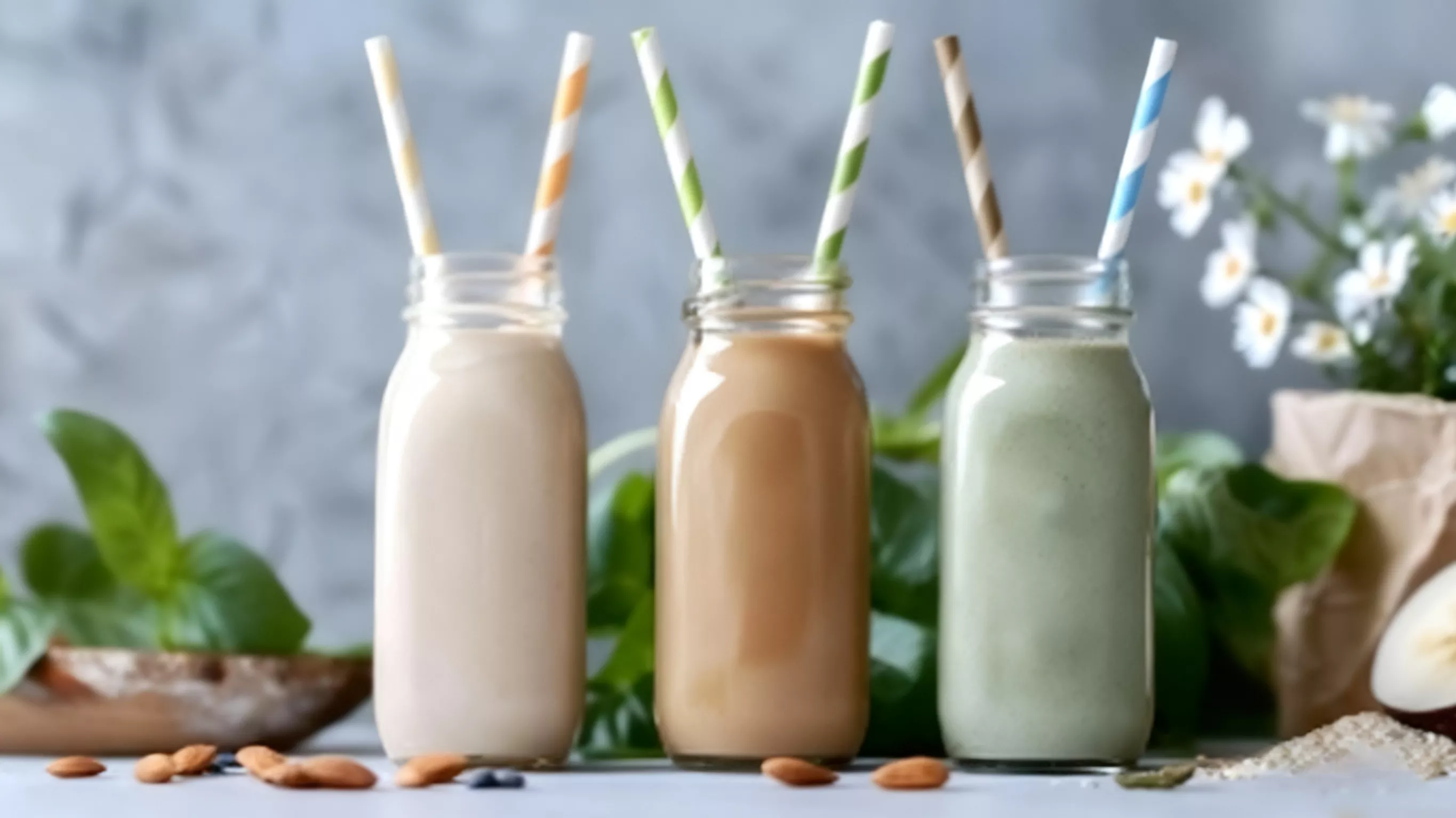 plant protein solutions